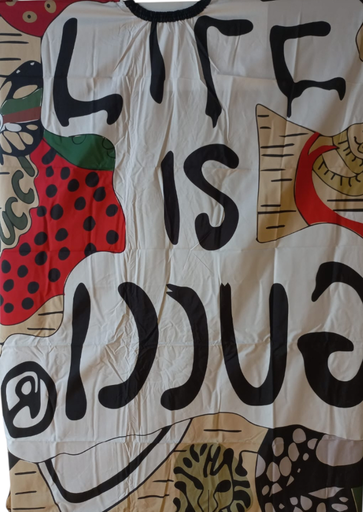 [R95-13] CAPA ECONOMICA 13