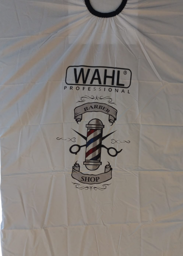 [R95-17] CAPA ECONOMICA 17