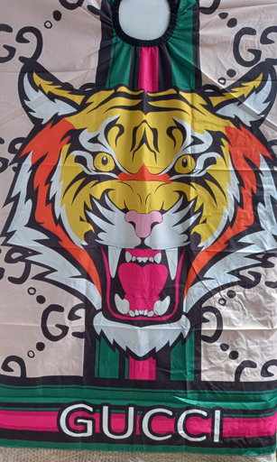 [R95-22] CAPA ECONOMICA # 22 